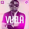 Azo K - Vuela (feat. Adviser) - Single